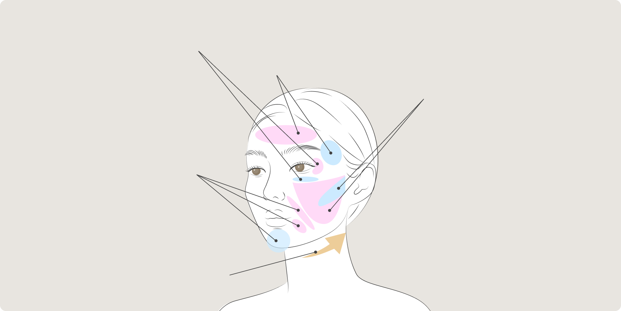 顔のパーツの配置図